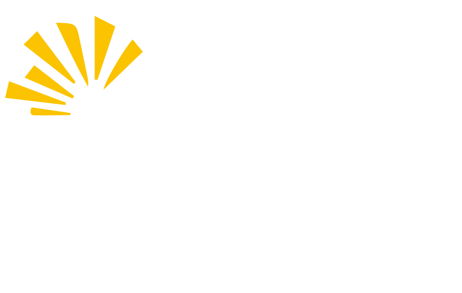 Nur